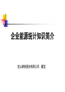 企业能源统计知识简介一 【宝山钢铁股份有限公司 戴坚 】