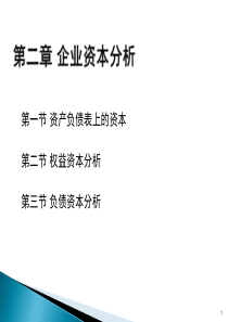 第二章 企业资本分析