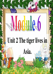 Unit 2 The tiger lives in Asia.