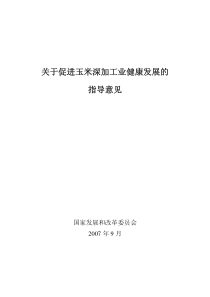 关于促进玉米深加工业健康发展的指导意见