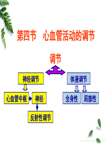 12级药学本科血液循环4