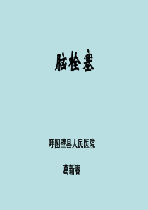 HC3000B+三相钳形多功能相位伏安表资料