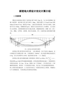 新密地大桥设计优化计算介绍