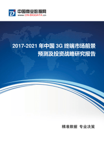 2017年中国3G终端市场现状及发展趋势分析