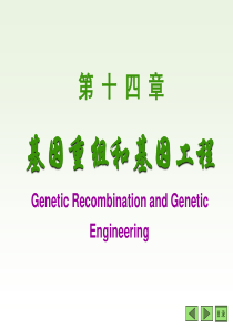 初三化学质量分析