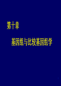 第十章基因组与比较基因组学2012.5.31