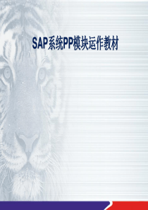 SAP-PP模块培训教材