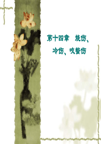 烧伤及其治疗