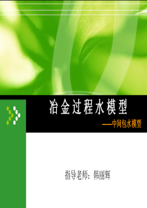 冶金过程水模拟实验ppt-冶金过程水模型