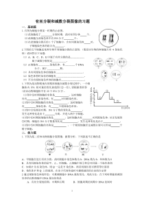 有丝分裂和减数分裂图像的习题