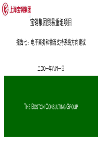 报告七电子商务和物流支持系统方向建议