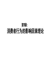 消费者行为学.