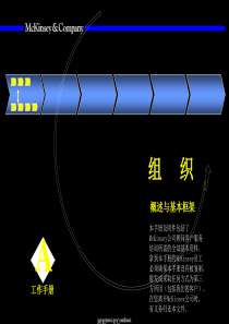 麦肯锡 - 新进人员培训 三步曲 之 组织 咨询 手册