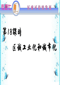 2012届高考地理第二轮总复习专题导练课件18