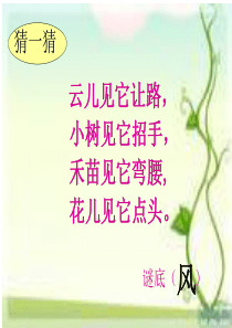 《风娃娃》课件