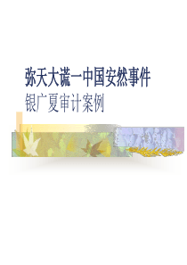 银广夏案例分析