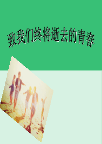 小说介绍《致我们终将逝去的青春》