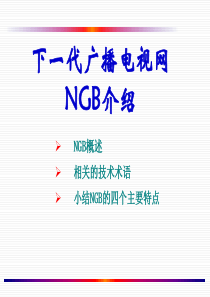 NGB介绍