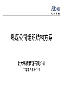 北大纵横—巴蜀江油燃煤巴蜀江油燃煤公司组织设计和岗位描述