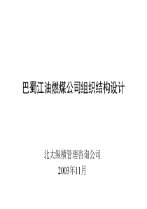 北大纵横—巴蜀江油燃煤巴蜀江油燃煤公司组织结构设计