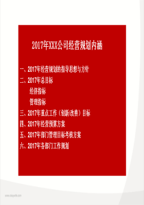 2017年XXX公司经营规划方案