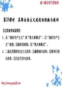 2014届人民版历史一轮必修复习课件：第25课时 苏联社会主义建设的经验与教训