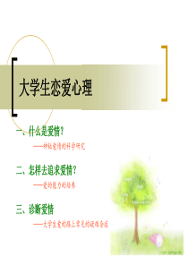 第5章 大学生恋爱心理：神秘的爱情