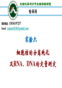 细胞核的分离与纯化及RNA、DNA的定量测定-20121201