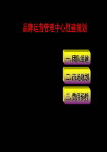 最新2010年营销运营团队组建及年度费用预算(NEW)