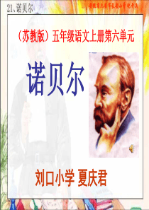 21《诺贝尔》PPT课件