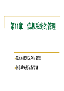 9-信息系统的项目管理剖析