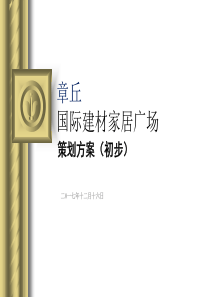 章丘国际建材家居广场项目策划方案