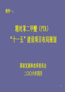 精对苯二甲酸(PTA)十一五建设项目布局规划