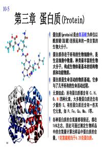 10-5+Chapter3++蛋白质化学(F)