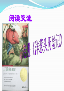 洋葱头历险记读书交流会