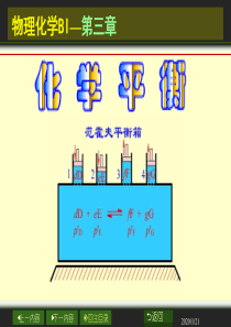 大学物理化学经典课件3-1-化学平衡