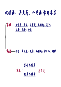 第25-28章 收涩药、杀虫药、拔毒化腐生肌药