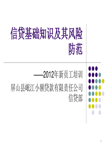 0屏山县岷江小额贷款公司12版新员工培训班(信贷基础知识)