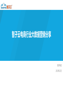 智子云电商行业大数据营销分享