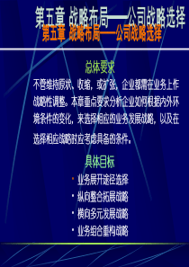 第五章,战略布局,公司战略