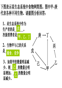 物质循环