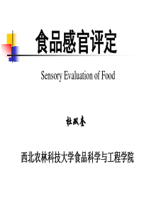 第三章 食品感官差别检验-2013