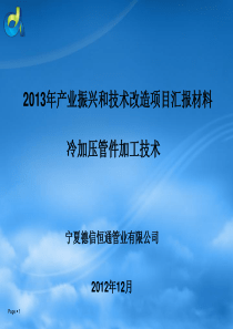 德信2013年产业振兴和技术改造项目汇报材料