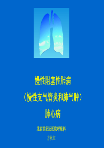 COPD-学生讲课2010