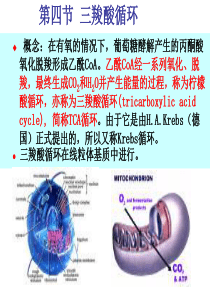 4TCA循环GAI