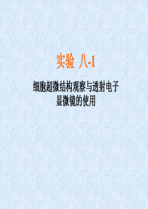 实验八、透射电子显微镜及扫描电子显微镜的使用