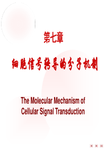 56细胞信号转导的分子机制