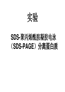 SDS-聚丙烯酰胺凝胶电泳(SDS-PAGE)