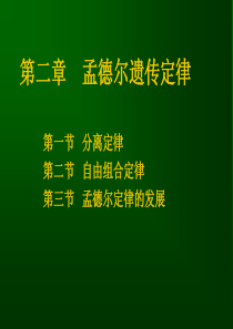 动物遗传-第2章孟德尔遗传定律.ppt