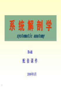 126局部解剖学课件系解16-神经系统(脊髓、脑干)